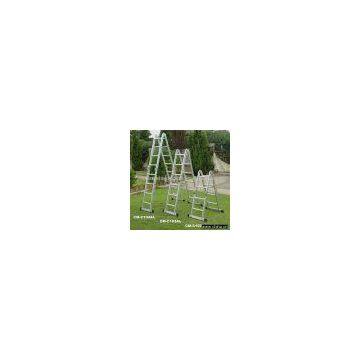 Combination Ladder