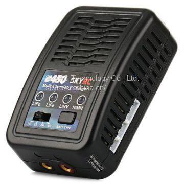 SkyRC E450 Multi Chemistry Battery Balance Charger photo-4