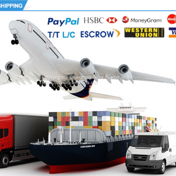 White Powder High Purity Fused Silica Flour Apply for Refractory Materials photo-4