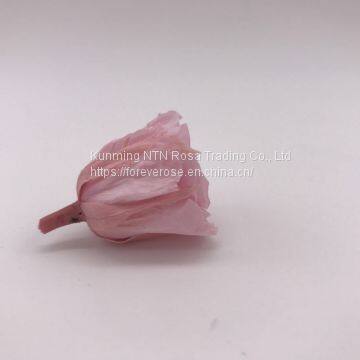 Preserved Rose for Wedding Festival Decoration photo-4