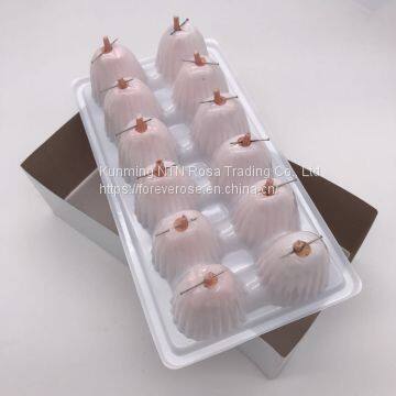 Preserved Rose Flowers for Wedding Decoration Flower Arrangement photo-5