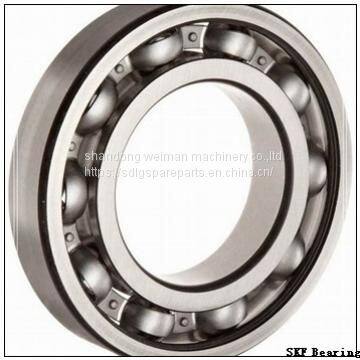 SKF Bearings