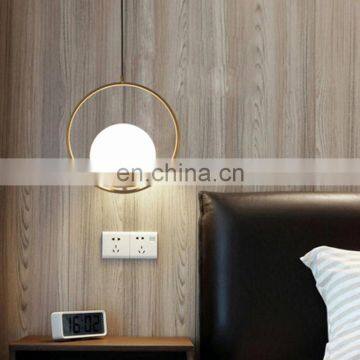Glass Globe Chandelier Bedside Retro Decorative Pendant Lamp photo-6