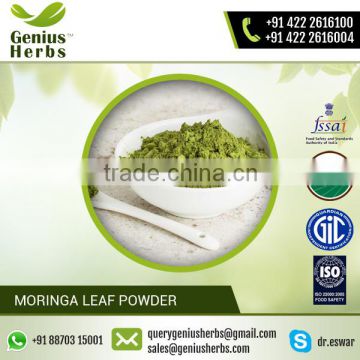 GMP Certified Moringa Leaf Powder For Health