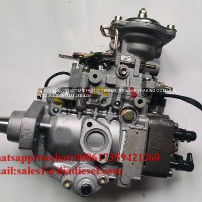 CNDIP Diesel Fuel VE Pump 196000-1842 for Sale