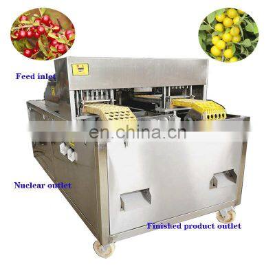 2019 Hot Sale Ouli Cerasus Humilis Dwarf Cherry Core Removing Machine