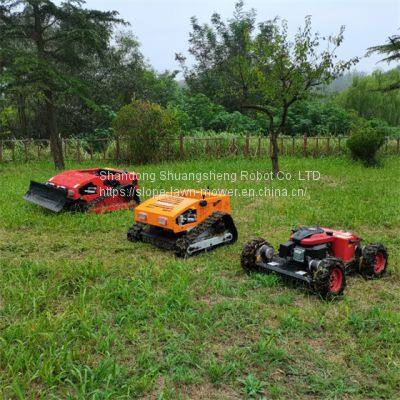 Self Mowing Lawn Mower China Manufacturer Factory Supplier Wholesaler photo-5