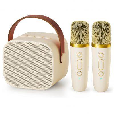 Portable Kids Sing RGB Voice Changer 2 Microphone Bluetooth Small Mini karaoke machine professional home amplifier Speaker