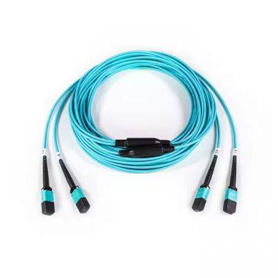 Direct Factory Price OM1 OM2 OM3 OM4 OM5 24cores MPO-MTP Male/Female Trunk Cable