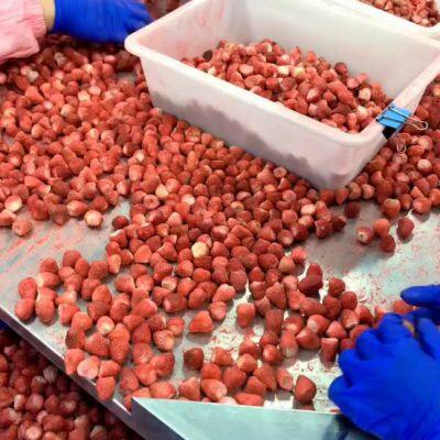 New Season Pure Nature Organic Freeze Dried Strawberry photo-4
