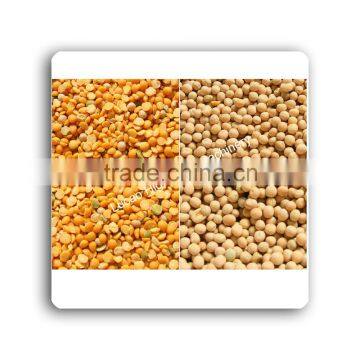 2016 Small Garden Bean Peeling Machine/dry Way Garden Bean Remove Machine With Price photo-4