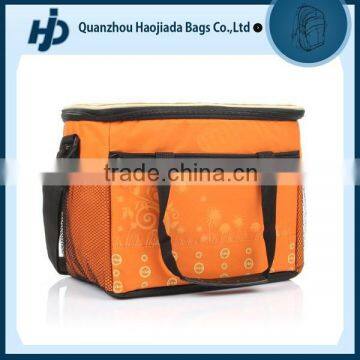 New arrival disposable cooler bag for frozen food