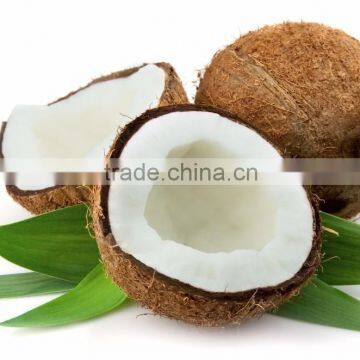 HIGH QUALITY FRESH COCONUT FOR SALE