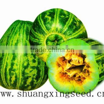 Honey Green Dragon sweet musk Melon seed