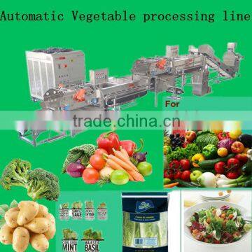 leafy vegetable processing machine/frozen vegetable processing line/hot sale fruit processing line
