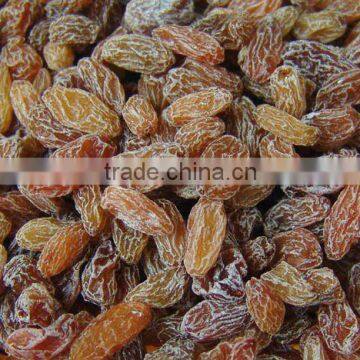 Golden Raisin Yellow Raisin Green Raisin