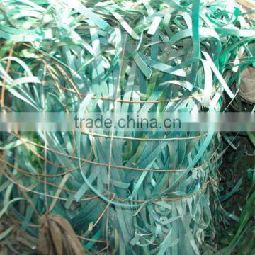 Pet Strip Scrap / Plastic Raw Materials / PET