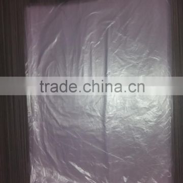 Clear Plastic Water Bag