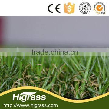 Green grass wholesale for homegarden