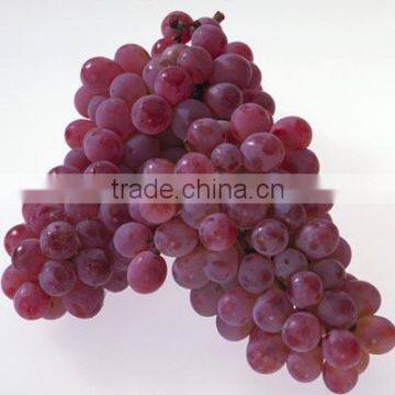 Grape Skin Extract