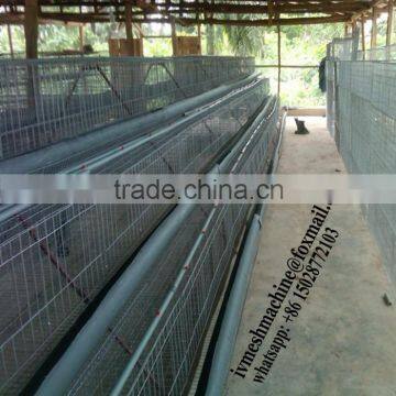 CN manufacture wholesale Automatic chicken cage for chicken farming