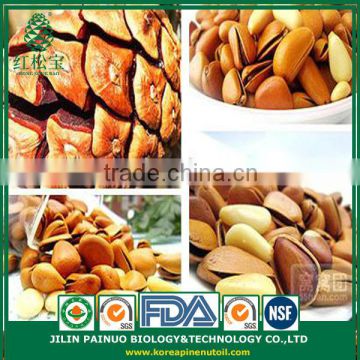 Bulk China Direct Hot Sale Price Open Pine Nuts in Shell