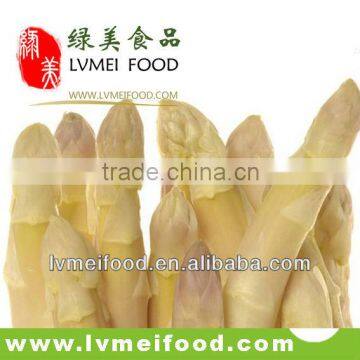 White Asparagus Whole Spear in Glass Jar