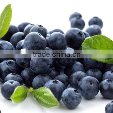 High quality 100% natural Blueberry Powder