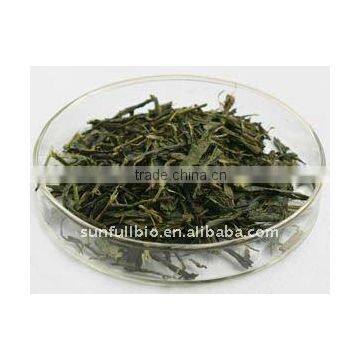 Green Tea Extracts 98% Polyphenols /80% Catechins