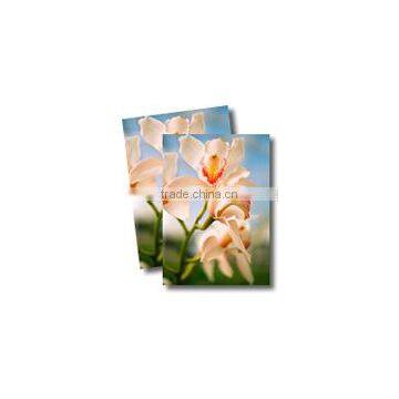 Satin Eco-Solvent 100% Polyester Inkjet Canvas 240gsm