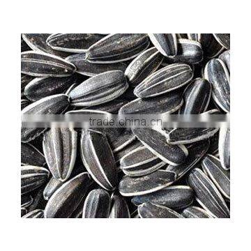 sunflower seeds 5009
