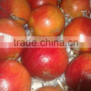 Natural Fresh Pomegranate Fruits Sales