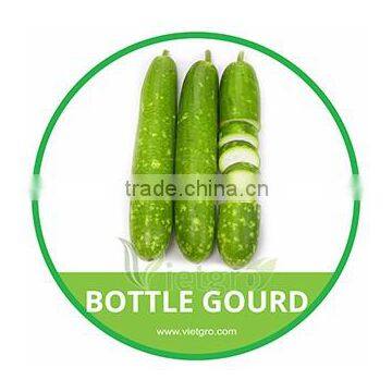 HIGH QUALITY FRESH BOTTLE GOURD SPOTIE 02