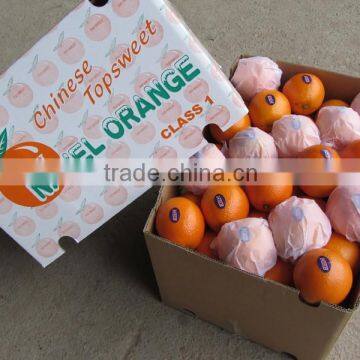 Jiangxi Origin of Sweet Navel Orange