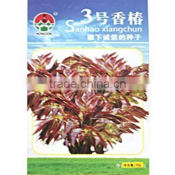 Chinese toon seeds cedrela sinensis seeds Toona sinensis seeds For Growing-Toona No.3