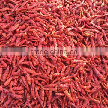 Vietnam Dried Red Hot Chilli photo-4