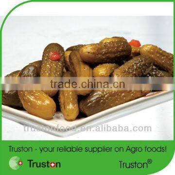 Canned Pickled Gherkins