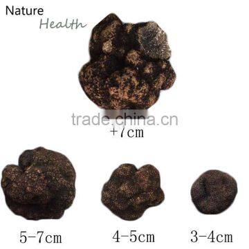 fresh whole truffle fresh tuber indicum