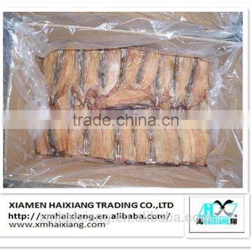 Dried squid supplier