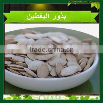 Unhulled Shine Skin Pumpkin seeds,10mm 11mm 12mm New Crop