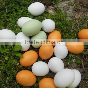 Hotsale Wood DIY Easter Eggs