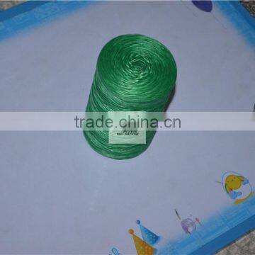 Pp Tearing Twine Flat Tape Production Split Film Making Machine photo-3