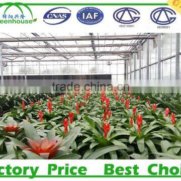 High Quality Prefabricate Greenhouse photo-3