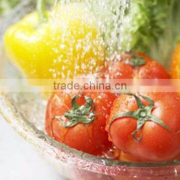 Multipurpose Water Air Home Ozone Sterilizer 800 Mg/h for Wash Vegetable and Fruits photo-5