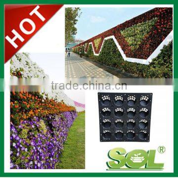 Types of Ornamental Plants Hydroponics Equipment Flowerpot