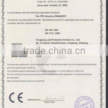 CE Certificate for visor