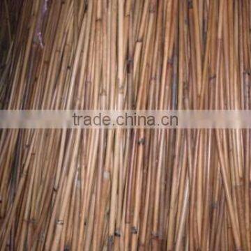 Red Malacca, Malacca, Melaka, Red cane, Red rattan, rattan, Cane, Rattan Cane, Malacca cane