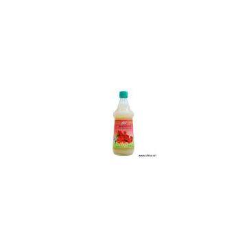 Sell Concentrated Lichi Drink