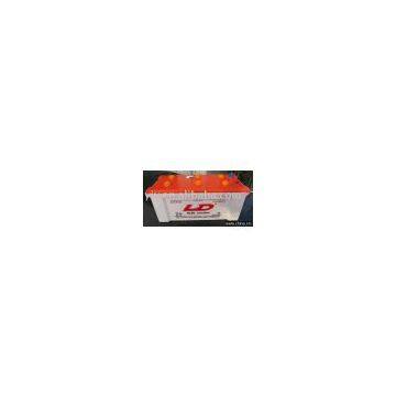 car battery(12V)