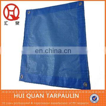 Dust-proof cover/sheet for house work PE tarpaulin waterproof sun-resistsnt